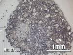 Thin Section Photo of Sample MIL 07485 at 2.5X Magnification in Reflected Light
