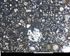 Thin Section Photo of Sample MIL 07505 in Plane-Polarized Light with 2.5x Magnification