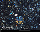 Thin Section Photo of Sample MIL 07505 in Cross-Polarized Light with 2.5x Magnification
