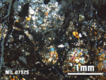 Thin Section Photo of Sample MIL 07525 at 2.5X Magnification in Cross-Polarized Light