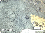 Thin Section Photo of Sample MIL 07588 at 2.5X Magnification in Plane-Polarized Light