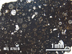 Thin Section Photo of Sample MIL 07616 at 2.5X Magnification in Plane-Polarized Light
