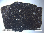 Thin Section Photo of Sample MIL 07621 at 1.25X Magnification in Plane-Polarized Light