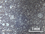 Thin Section Photo of Sample MIL 07621 at 2.5X Magnification in Reflected Light