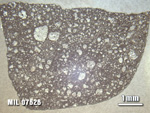 Thin Section Photo of Sample MIL 07626 at 1.25X Magnification in Reflected Light