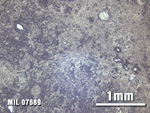 Thin Section Photo of Sample MIL 07689 at 2.5X Magnification in Reflected Light