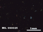 Thin Section Photo of Sample MIL 090025 in Cross-Polarized Light with 2.5X Magnification