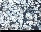 Thin Section Photo of Sample MIL 090030 in Plane-Polarized Light with 2.5x Magnification