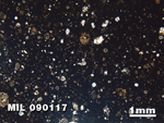 Thin Section Photo of Sample MIL 090117 in Plane-Polarized Light with 1.25X Magnification