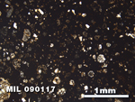 Thin Section Photo of Sample MIL 090117 in Plane-Polarized Light with 2.5X Magnification