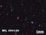Thin Section Photo of Sample MIL 090128 in Cross-Polarized Light with 1.25X Magnification