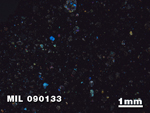 Thin Section Photo of Sample MIL 090133 in Cross-Polarized Light with 1.25X Magnification