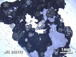 Thin Section Photo of Sample MIL 090172 at 1.25X Magnification in Plane-Polarized Light