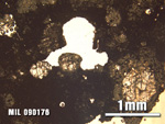 Thin Section Photo of Sample MIL 090176 at 2.5X Magnification in Plane-Polarized Light