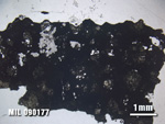 Thin Section Photo of Sample MIL 090177 at 1.25X Magnification in Plane-Polarized Light