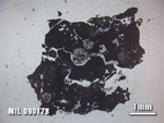 Thin Section Photo of Sample MIL 090178 at 1.25X Magnification in Plane-Polarized Light