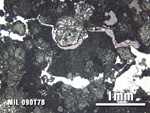 Thin Section Photo of Sample MIL 090178 at 2.5X Magnification in Plane-Polarized Light