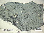Thin Section Photo of Sample MIL 090180 at 1.25X Magnification in Plane-Polarized Light