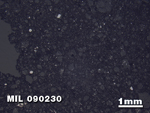 Thin Section Photo of Sample MIL 090230 in Reflected Light with 1.25X Magnification