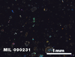 Thin Section Photo of Sample MIL 090231 in Cross-Polarized Light with 2.5X Magnification