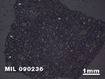Thin Section Photo of Sample MIL 090236 in Reflected Light with 1.25X Magnification