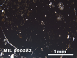 Thin Section Photo of Sample MIL 090283 in Plane-Polarized Light with 2.5X Magnification