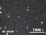Thin Section Photo of Sample MIL 090308 at 2.5X Magnification in Plane-Polarized Light