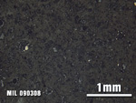 Thin Section Photo of Sample MIL 090308 at 2.5X Magnification in Reflected Light