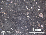 Thin Section Photo of Sample MIL 090327 at 2.5X Magnification in Plane-Polarized Light