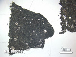 Thin Section Photo of Sample MIL 090343 at 1.25X Magnification in Plane-Polarized Light