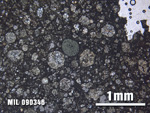 Thin Section Photo of Sample MIL 090346 at 2.5X Magnification in Plane-Polarized Light