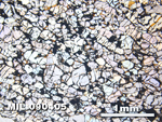 Thin Section Photo of Sample MIL 090405 in Plane-Polarized Light with 2.5X Magnification