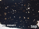 Thin Section Photo of Sample MIL 090451 in Plane-Polarized Light with 1.25X Magnification