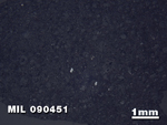 Thin Section Photo of Sample MIL 090451 in Reflected Light with 1.25X Magnification