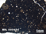Thin Section Photo of Sample MIL 090454 in Plane-Polarized Light with 1.25X Magnification