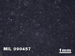 Thin Section Photo of Sample MIL 090457 in Reflected Light with 1.25X Magnification