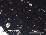 Thin Section Photo of Sample MIL 090469 in Plane-Polarized Light with 2.5X Magnification