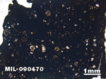 Thin Section Photo of Sample MIL 090470 in Plane-Polarized Light with 1.25X Magnification