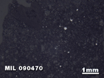 Thin Section Photo of Sample MIL 090470 in Reflected Light with 1.25X Magnification