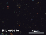 Thin Section Photo of Sample MIL 090470 in Cross-Polarized Light with 2.5X Magnification