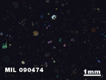 Thin Section Photo of Sample MIL 090474 in Cross-Polarized Light with 1.25X Magnification