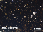 Thin Section Photo of Sample MIL 090478 in Plane-Polarized Light with 1.25X Magnification