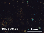 Thin Section Photo of Sample MIL 090478 in Cross-Polarized Light with 2.5X Magnification