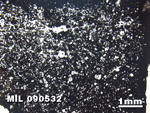 Thin Section Photo of Sample MIL 090532 in Plane-Polarized Light with 1.25X Magnification