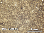 Thin Section Photo of Sample MIL 090543 in Reflected Light with 2.5X Magnification