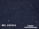 Thin Section Photo of Sample MIL 090554 in Reflected Light with 2.5X Magnification
