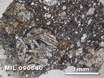Thin Section Photo of Sample MIL 090640 in Plane-Polarized Light with 2.5X Magnification