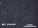 Thin Section Photo of Sample MIL 090646 in Reflected Light with 2.5X Magnification