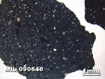 Thin Section Photo of Sample MIL 090648 in Plane-Polarized Light with 1.25X Magnification