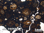 Thin Section Photo of Sample MIL 090657 in Plane-Polarized Light with 1.25X Magnification